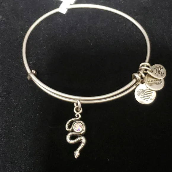 NWT Alex & Ani Rafaelian Silver Snake & Swarovski Crystal 2017 - Picture 4 of 13